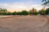 29099 Doveweed Way - Photo 110