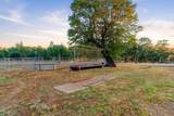 29099 Doveweed Way - Photo 111