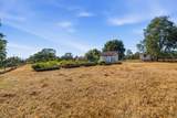 29099 Doveweed Way - Photo 115