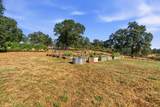 29099 Doveweed Way - Photo 117