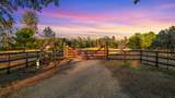 29099 Doveweed Way - Photo 124