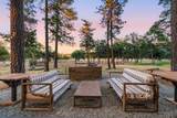 29099 Doveweed Way - Photo 90