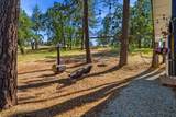 29099 Doveweed Way - Photo 91