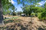 3446 Shirley Street - Photo 26
