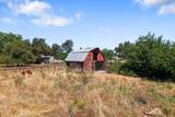 3446 Shirley Street - Photo 37
