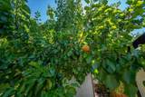 25260 Orange Street - Photo 16