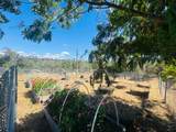 24555 California 299 - Photo 47