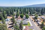 37208 Bue Way - Photo 66