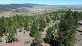542 405 Punkin Center Road - Photo 127