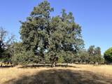  Deschutes Road - Photo 6