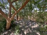1026 Moss Creek Road - Photo 28