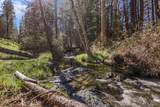 7530 Miners Creek Road - Photo 3