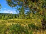 Battle View Drive - Photo 5