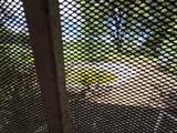 5419 Shady Lane - Photo 16