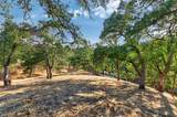 14585 Betz Lane - Photo 15