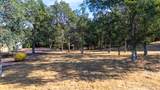 19410 Palermo Court - Photo 14