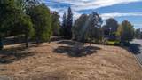 19410 Palermo Court - Photo 15