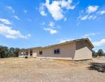 18045 Brush Trail - Photo 40