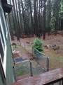 7220 Shasta Forest Drive - Photo 38