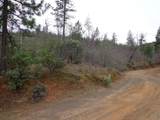  Backbone Road - Photo 1