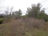  Backbone Road - Photo 10