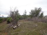  Backbone Road - Photo 11