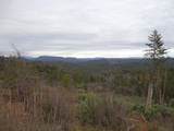  Backbone Road - Photo 15