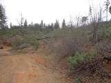  Backbone Road - Photo 4