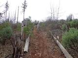  Backbone Road - Photo 8