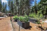 31444 Emigrant Trail - Photo 27