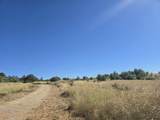 3 Parcels Pine Grove Avenue - Photo 10