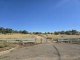 3 Parcels Pine Grove Avenue - Photo 6