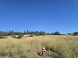 3 Parcels Pine Grove Avenue - Photo 8