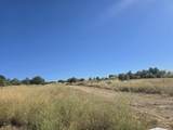3 Parcels Pine Grove Avenue - Photo 9