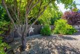 4575 Cerro Lane - Photo 30