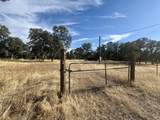 16185 Caribou Road - Photo 52