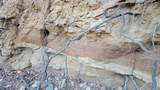 000 Mary Kay Road - Photo 12