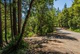 901 Dutch Creek Road - Photo 22