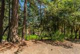 901 Dutch Creek Road - Photo 23