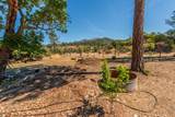901 Dutch Creek Road - Photo 39