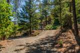 901 Dutch Creek Road - Photo 70
