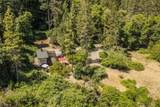 901 Dutch Creek Road - Photo 9