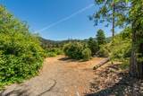 901 Dutch Creek Road - Photo 91