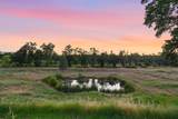 16090 Bowman Road - Photo 3