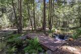 14915 Misty Springs Lane - Photo 54