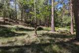 14915 Misty Springs Lane - Photo 73