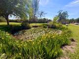6866 Oak Street - Photo 37