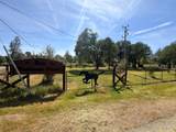 6866 Oak Street - Photo 39