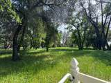  Clough Creek Road - Photo 13