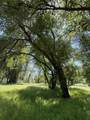  Clough Creek Road - Photo 21